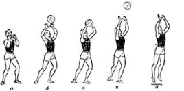 Техніка прийому м'яча в волейболі